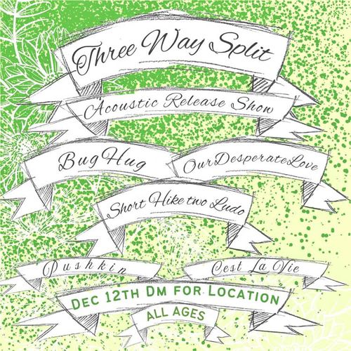 Acoustic show: Bughug, pushkin, short hike two ludo, ourdesperatelove, cest la vie